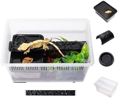 3.5 Gallon Reptile Terrarium Kit - Hatchling & Juvenile Gecko Tank with Humidity Hide, Ledge & Feeding Dish - for Baby Geckos, Dart Frogs, Jumping Spiders & Isopods