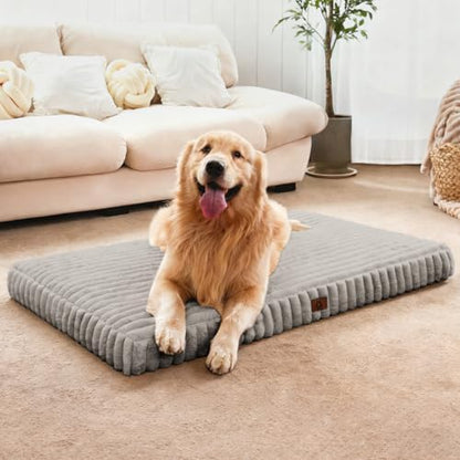 Medium Dog Bed Orthopedic Foam with Waterproof Lining