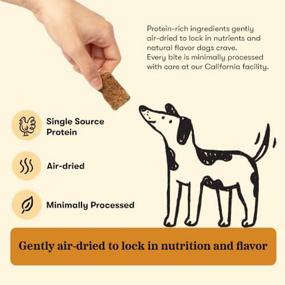 Plato Real Strips Turkey & Pumpkin Recipe Dog Treats, Air-Dried High-Protein Grain-Free Soft Strips with Real Pumpkin, 18 oz