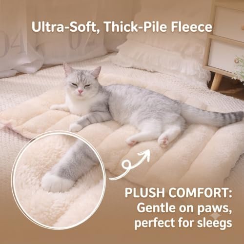 2-in-1 Cat Tunnel Bed Detachable Cat Mat Washable Kitten Play Tube & Rug (Purple, M)