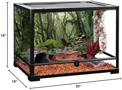 30x18 in Terrarium Backdrop Foggy Forest Stream Reptile Habitat Background