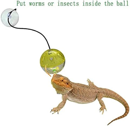 6 Pack Bearded Dragon Toys Balls Bell,Bearded Dragon Accessories,Fit for Lizard Small Reptile Habitat Terrarium Tank