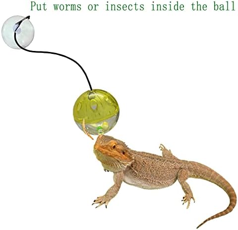 6 Pack Bearded Dragon Toys Balls Bell,Bearded Dragon Accessories,Fit for Lizard Small Reptile Habitat Terrarium Tank