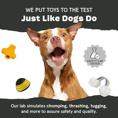 BarkBox Tug Tied Toad Dog Toy - for Large Dogs