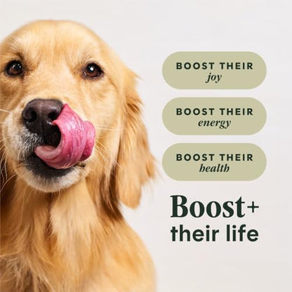 Instinct RawBoost Gut Health, Dry Dog Food + Freeze Dried, Chicken, 18 lb.