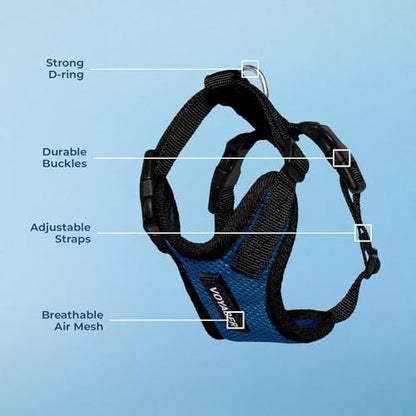 Voyager Step-in Lock Dog Harness - Royal Blue/Black Trim, X-Small