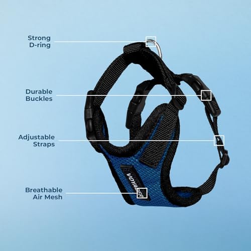 Voyager Step-in Lock Dog Harness - Royal Blue/Black Trim, X-Large