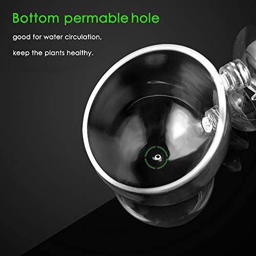 Carpetsma Aquarium Plant Pot, Glass Fish Tank Plants Holder - Aquarium Planter with 2 Suction Cups for Fish Tank Decor - 1 Pack