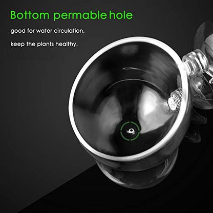 Carpetsma Aquarium Plant Pot, Glass Fish Tank Plants Holder - Aquarium Planter with 2 Suction Cups for Fish Tank Decor - 1 Pack