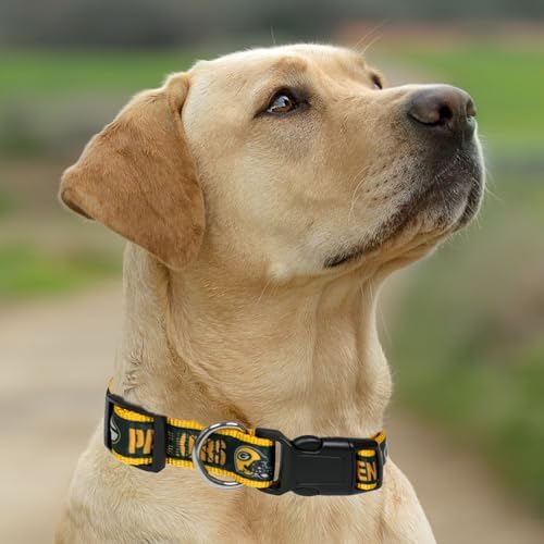 Pets First NFL Green Bay Packers Licensed PET COLLAR, Medium - Heavy-Duty, Strong, and Durable Dog Collar. Available in 31 Football Teams and 4 Sizes