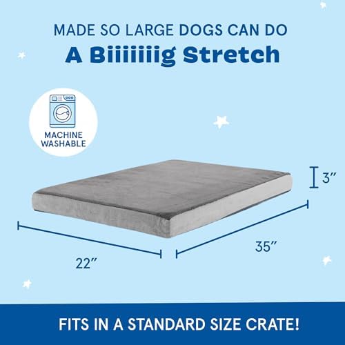 BarkBox Orthopedic Dog Bed - Large