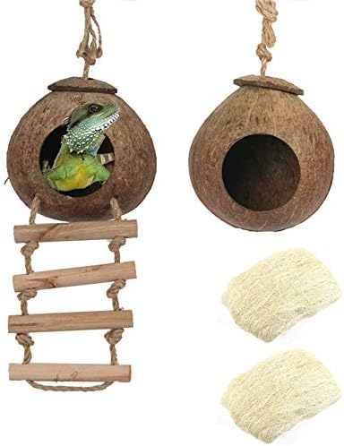 Hamiledyi Lizard Coco Den Reptile Hideouts Gecko Coconut Shell Hut Coconut hut for Geckos Bearded Dragon Tank Accessories Coconut Lizard Hut with Ladder - Natural Coconut Fiber