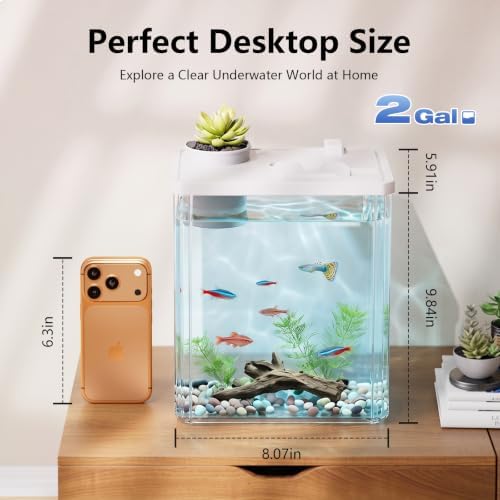 2 Gallon Betta Fish Tank Aquarium Starter Kit with Light and Lid(White)
