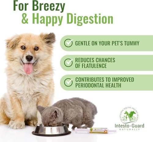 Probiotics Paste for Dogs Prebiotic for Canine, Gut Support, & Immune Boost, All Natural with 1 Billion per ML Includes (MOS)+ Beta Glucans + D-Mannose, No Animal by-Products - 30ML Single Tube