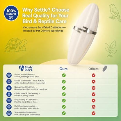 Birds LOVE 3.5-4″ Cuttlebone for Birds – 100% Natural Sun-Dried Calcium Carbonate Mineral Supplement – for Parakeets, Budgies, Cockatiels, Finches & Canaries – 12 Pack with Holder – Made in Vietnam