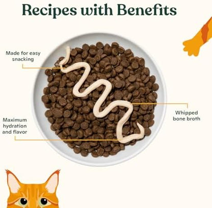 Made by Nacho Lickable Cat Treats Mousse Tubes 12 Count with Bone Broth Chicken and Salmon Recipe (.5 oz) No Grains, Corn, Wheat or Soy