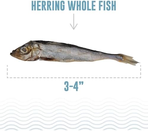 Icelandic+ Whole Fish Herring - 3oz Wild-Caught Air-Dried Dog Treats