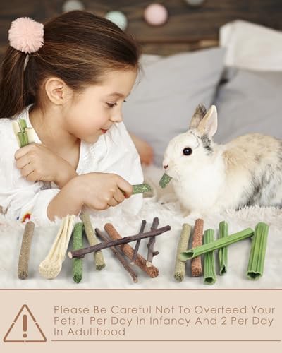 Bissap 54 PCS Rabbit Chew Sticks, Mix Natural Sweet Bamboo Timothy Hay Oat Carrot Chew Stick Apple Branch Bunny Chews for Rabbit Hamster Chinchilla Guinea Pig Small Pet Molar Treats