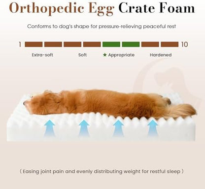 Large Orthopedic Dog Crate Bed with Waterproof Lining