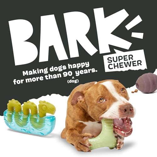 BarkBox Sven The Hedgie Super Chewer Dog Toy - Large