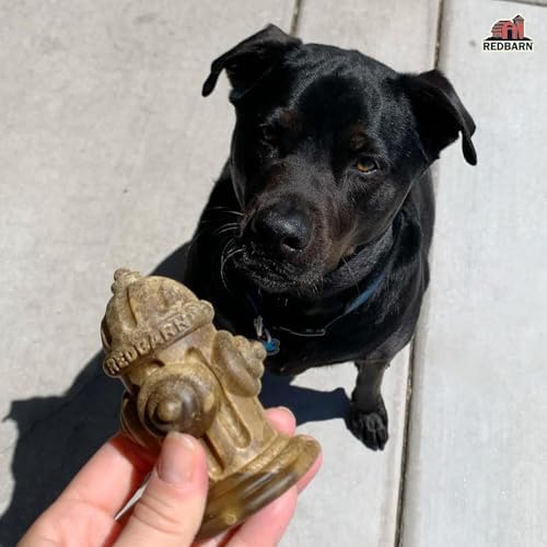 Redbarn Chew-A-Bulls, 12 Pack – Medium Hydrant Shape Dog Dental Treats – Daily Oral Care with Fun Ridges & Grooves, All Natural Ingredients, Highly Digestible Chews & Low in Fat