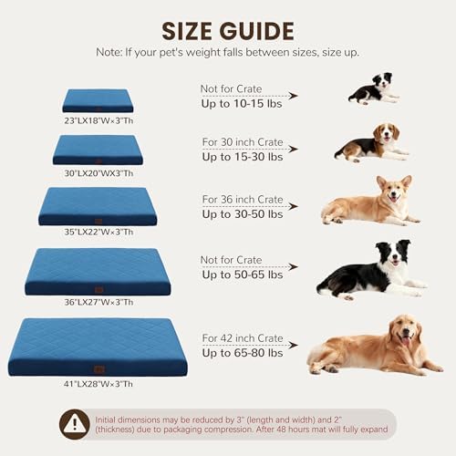 Orthopedic Dog Beds for Large Medium Dogs, Washable Pet Bed Mat with Removable Cover, Waterproof Egg Crate Foam Puppy Bed Anti Slip, 36" x 27", NOT for Chewers