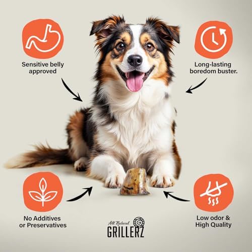 Grillerz 2-3 in Beefy Bone, Rawhide-Free, 1 Count