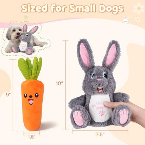 Squeaky Dog Toys for Small & Medium Dogs - Keep Them Happily Playing