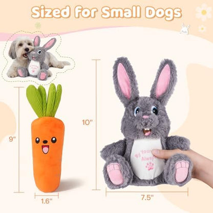 Squeaky Dog Toys for Small & Medium Dogs - Keep Them Happily Playing