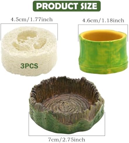 5pcs Dubia Roach Live Tree Stump Feeding Bowls & Green Bamboo Water Bowls Container with Loofah Net Set, Habitat for Dubia Roaches Live, Crickets & Springtails, Habitat Supplies