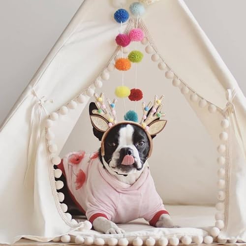 MINICAMP Pet Teepee Bed for Dogs and Cats – Cozy Indoor Dog Tent with Natural Cotton– Luxury Pet House & Hideaway Bed for Small to Large Dogs, Cats & Small Animals - Made in EU (Large)