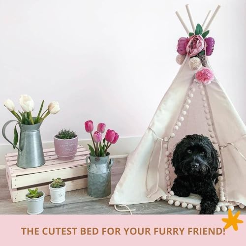 MINICAMP Pet Teepee Bed for Dogs and Cats – Cozy Indoor Dog Tent with Natural Cotton– Luxury Pet House & Hideaway Bed for Small to Medium Dogs, Cats and Other Animals - Made in EU (Medium)