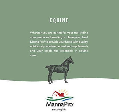 Manna Pro Hen Healer Multi-Purpose Ointment Helps Support Healing 2 Ounces