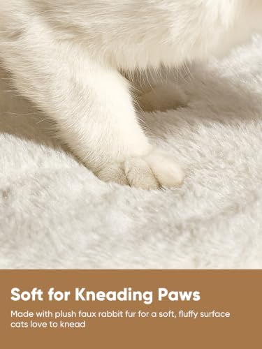 FUKUMARU Cat Cave Bed, 2-in-1 Enclosed Cat Bed for Indoor Cat, Cat Hideaway