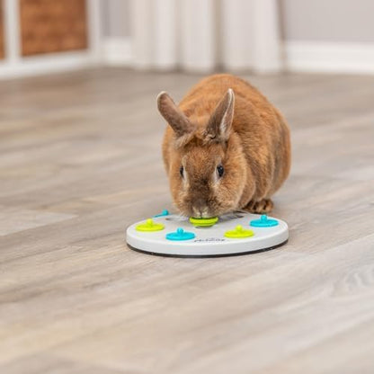 Trixie Rabbit Snack Board, Interactive Toy, Small Animal Puzzle, Mental Stimulation, Rabbit, Ferret, Bunny, Chinchilla
