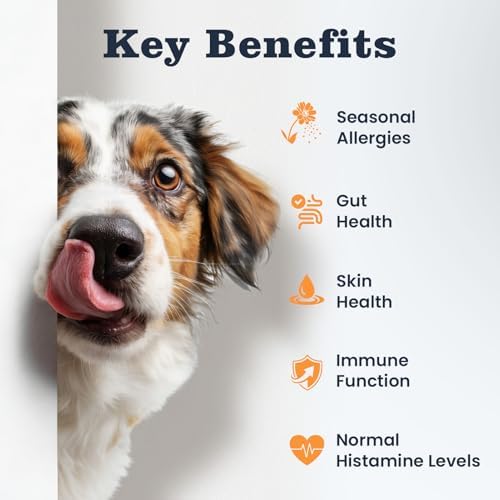Dog Allergy & Immune Chews 300 Treats, Itching Skin Relief Chews Omega 3 Fish Oil Probiotics for Seasonal All Issues Allergies Skin & Hair, Gut, Immune-All Ages & Sizes Dogs Made in USA Chicken Flavor