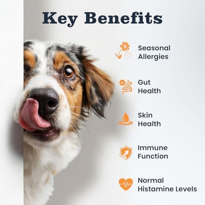 Dog Allergy & Immune Chews 300 Treats, Itching Skin Relief Chews Omega 3 Fish Oil Probiotics for Seasonal All Issues Allergies Skin & Hair, Gut, Immune-All Ages & Sizes Dogs Made in USA Chicken Flavor