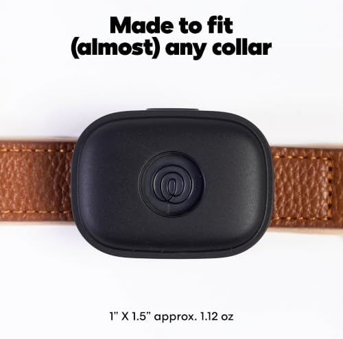 Life360 Pet GPS Tracker for Dogs | Live Tracking, Escape Alerts & Lost Pet Network | Up to 14 Days Battery | 12-Month Silver Subscription Included for New & Free Members | 1-Pack, Black