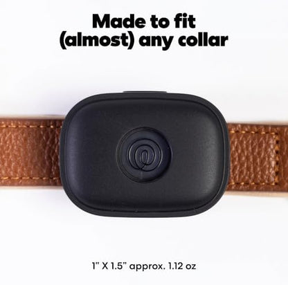 Life360 Pet GPS Tracker for Dogs | Live Tracking, Escape Alerts & Lost Pet Network | Up to 14 Days Battery | 12-Month Silver Subscription Included for New & Free Members | 1-Pack, Black