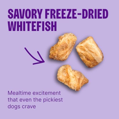 Wellness CORE+ Adult Dry Dog Food with Freeze Dried Pieces, Grain Free Kibble+, Natural, High Protein, Chicken Free, Whitefish, Herring, and Salmon Recipe, 4 lb Bag