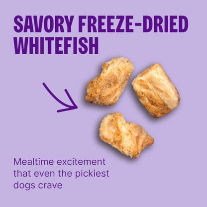 Wellness CORE+ Adult Dry Dog Food with Freeze Dried Pieces, Grain Free Kibble+, Natural, High Protein, Chicken Free, Whitefish, Herring, and Salmon Recipe, 18 lb Bag