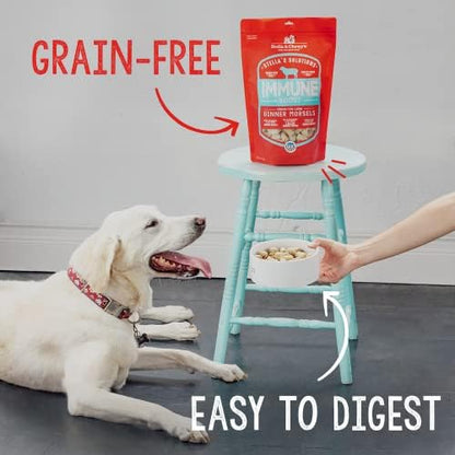 Stella & Chewy's Freeze-Dried Raw Dog Food for Immune Support - Grass-Fed Lamb - Natural Solution for Immune Defense & Overall Wellness - Premium Raw Nutrition - 13oz