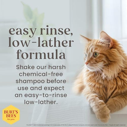Burts Bees for Pets Tearless Kitten Shampoo with Buttermilk, 10 Fl Oz, 6-Pk
