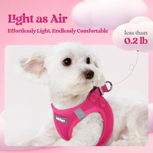 rabbitgoo Dog Harness Small Sized and Leash Set, Step-in Puppy Pet Vest