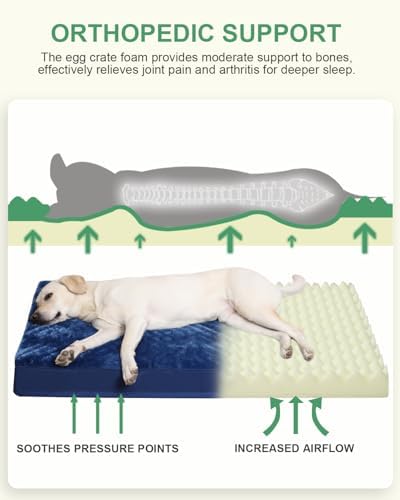 KSIIA Orthopedic Dog Bed for Large Dogs with Waterproof Lining, Blue, 35x22