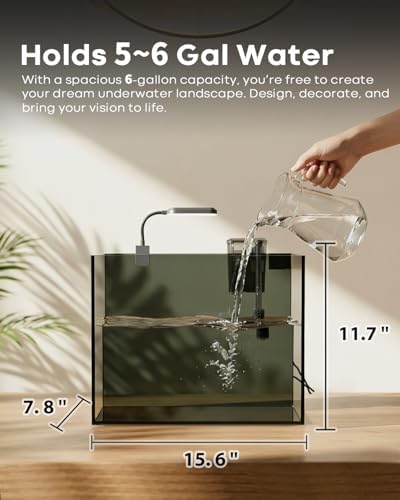 Wonderfactory 5 Gallon Small Aquarium Set Glass Fish Tank 6 Gallon, Starter Kit with Heater Water Pump Cleaning System Filter Bright Light Rocks Gravel Cleaning Tool, Clear Rimless Betta Plants