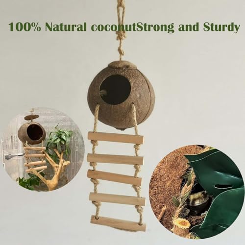 10PCS Crested Gecko Tank Accessories, Reptile Plants Bridge Vines, Coconut Shell with Ladder for Lizard, Chameleon Cage, Snakes, Hermit Crab, Leopard Gecko Tank Accessories, Terrarium Decor