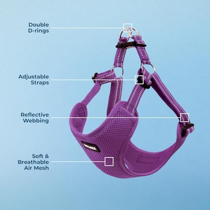 Voyager Step-in Flex Adjustable Dog Harness - Purple, X-Large