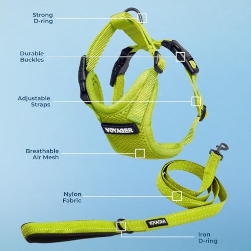 Best Pet Supplies Voyager Step-in Lock Pet Harness w Reflective Pet Leash Combo Set with Neoprene Handle 5ft - Supports Small, Medium and Large Breed Puppies/Cats - Lime Green, XL
