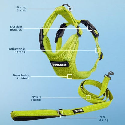 Best Pet Supplies Voyager Step-in Lock Pet Harness w Reflective Pet Leash Combo Set with Neoprene Handle 5ft - Supports Small, Medium and Large Breed Puppies/Cats - Lime Green, XL